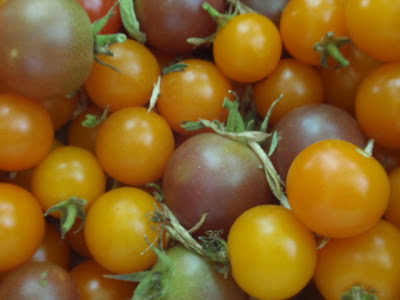 Late summer 2009 148